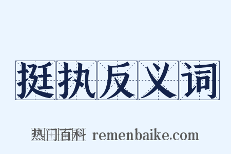 挺执反义词是什么意思的图片